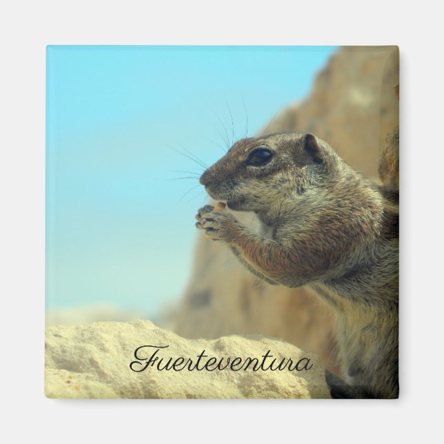 Íman Croissant de atlas (Frente)