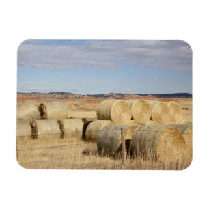 Íman Crook County, pacotes de feno 2