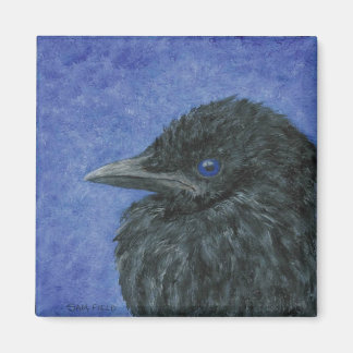 Íman Crow Baby