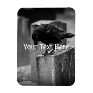 Íman Crow do Cemitério de Queda