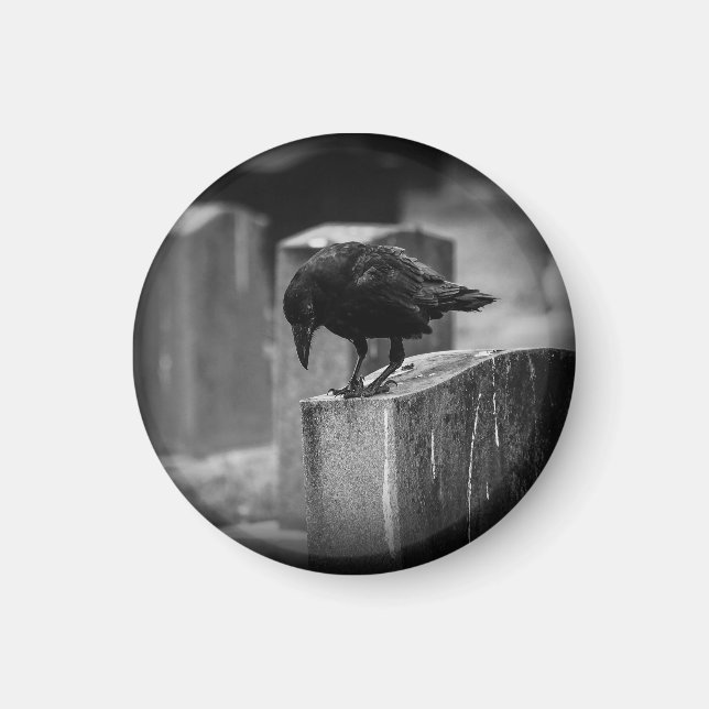 Íman Crow do Cemitério de Queda (Frente)