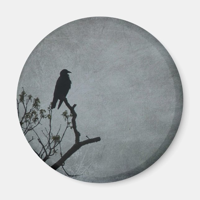 Íman Crow Magestoso (Frente)