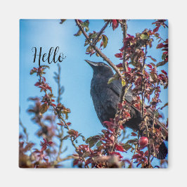 Íman Crow Says Hello 