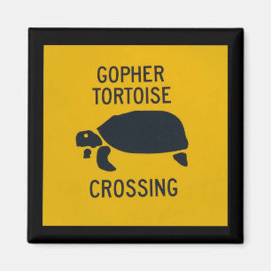 Íman Cruzamento da tartaruga de Gopher