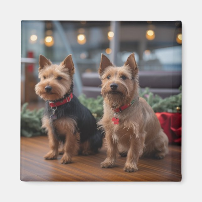 Íman Cruzeiro de Natal do Terrier Australiano: Incrível (Frente)