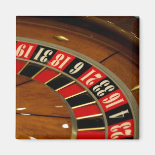 Íman Cruzeiro do México. Princesa Cruises Dawn Princess