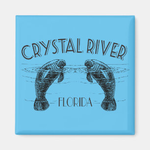 Íman Crystal River Florida com Manatees