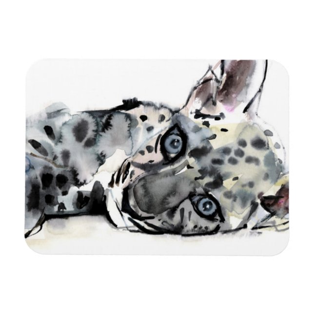 Íman Cub Leopardo Árabe 2008 (Horizontal)