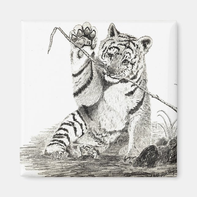 Íman Cubo de tigre tocando ímã (Frente)