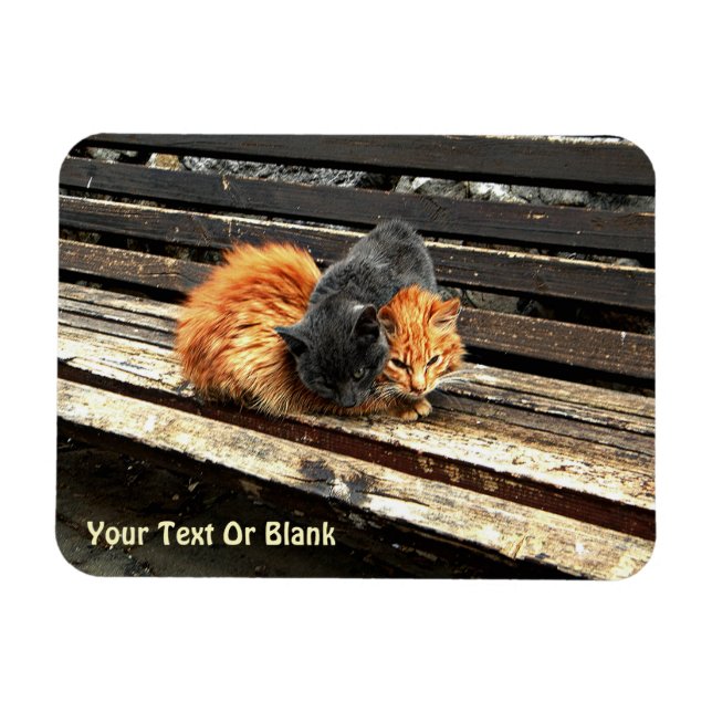 Íman Cuecas Catnap (Horizontal)