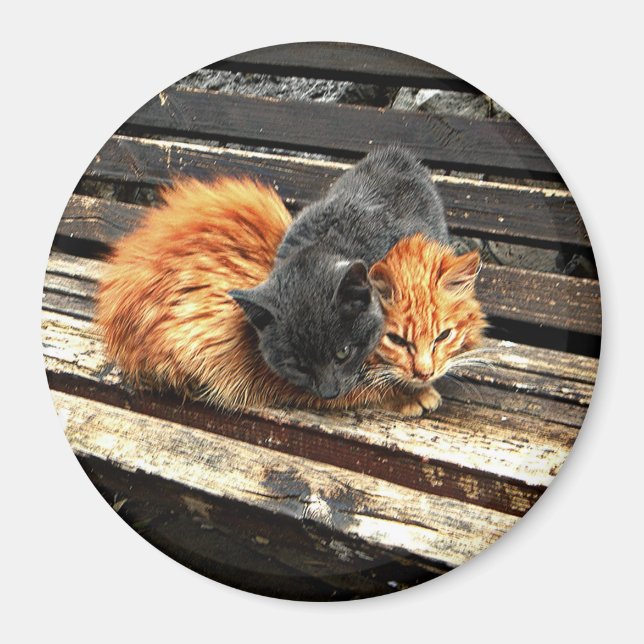 Íman Cuecas Catnap (Frente)