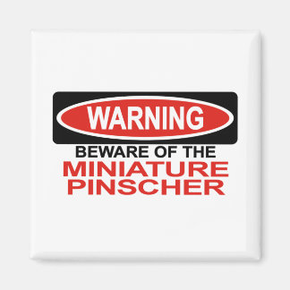 Íman Cuidado Com A Miniatura Pinscher