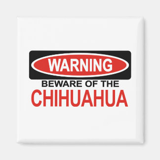 Íman Cuidado Com Chihuahua