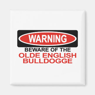 Íman Cuidado Com O Antigo Bulldogge Inglês