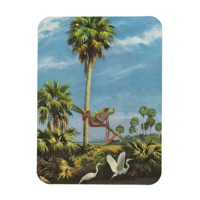 Íman Cuidado com o sapo - (Vertical)