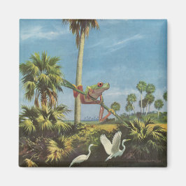 Íman Cuidado com o sapo -