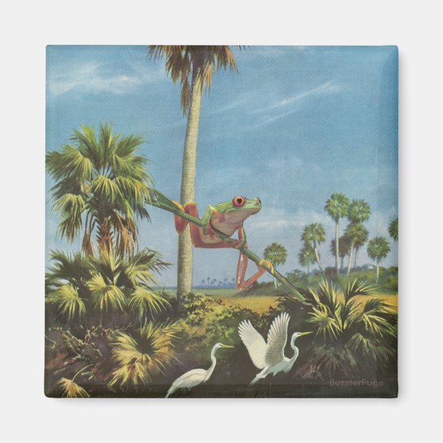 Íman Cuidado com o sapo - (Frente)