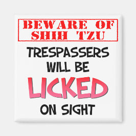 Íman Cuidado com o Shh Tzu (Branco) 2 Polegadas