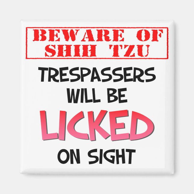 Íman Cuidado com o Shh Tzu (Branco) 2 Polegadas (Frente)