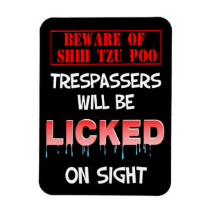Íman "Cuidado com o Shh Tzu Poo" Magnet (preto)