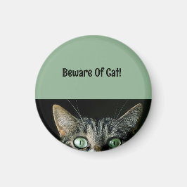 Íman Cuidado Personalizado Do Magneto Verde Gato