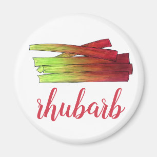 Íman Culinária Rhubarb Stalks Vegetais Comida Jardim Ve