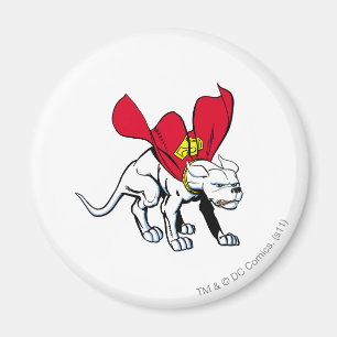Íman Culturas de Krypto