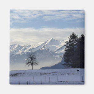 Íman Cumes suíços