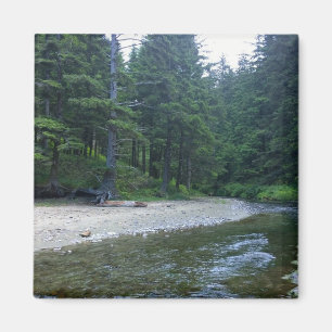 Íman Cummins Creek no Parque Estadual de Netuno, OR