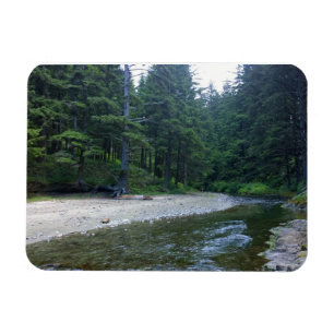 Íman Cummins Creek no Parque Estadual de Netuno, OR