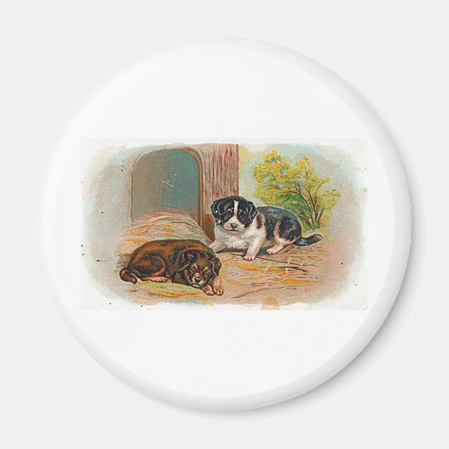 Íman Cuppies (Frente)