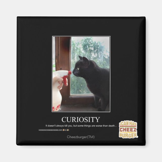 Íman Curiosidade (Frente)