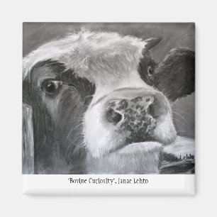 Íman Curiosidade Bovina