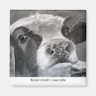 Íman Curiosidade Bovina