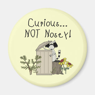 Íman Curioso Raccoon