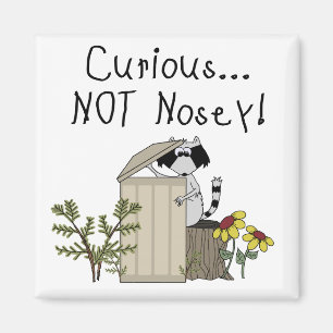 Íman Curioso Raccoon