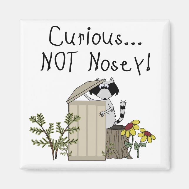 Íman Curioso Raccoon (Frente)