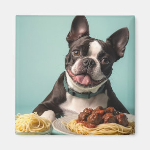 Íman Curioso Terrier de Boston com espaghetti Bolognais
