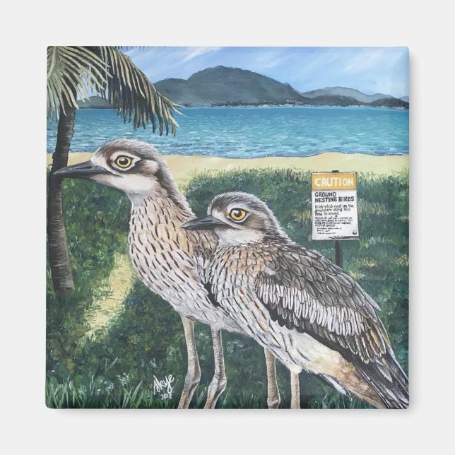 Íman Curlew's of Townsville Strand (Frente)