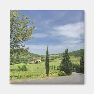 Íman Curvagem por estrada nacional entre ciprestes