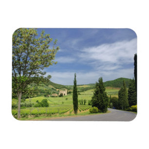 Íman Curvagem por estrada nacional entre ciprestes