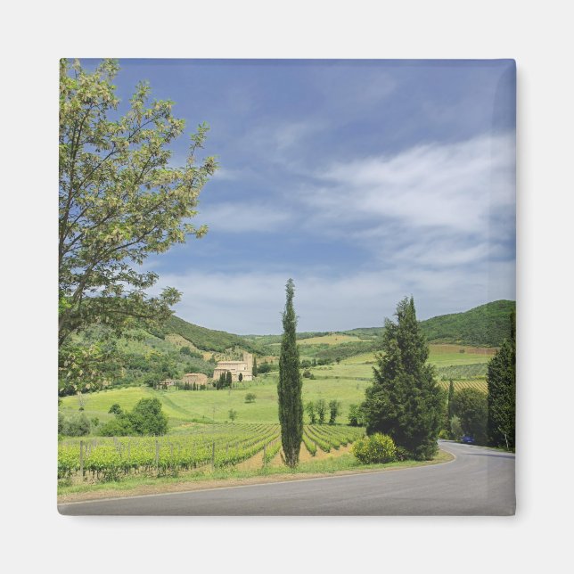 Íman Curvatura por estrada nacional entre ciprestes em (Frente)