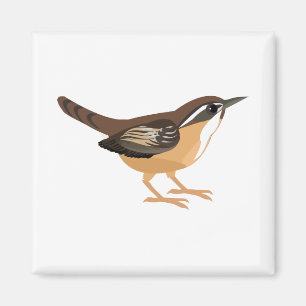 Íman Cute Carolina Wren