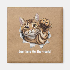 Íman Cute Cat Magnet - Just here for the treats!