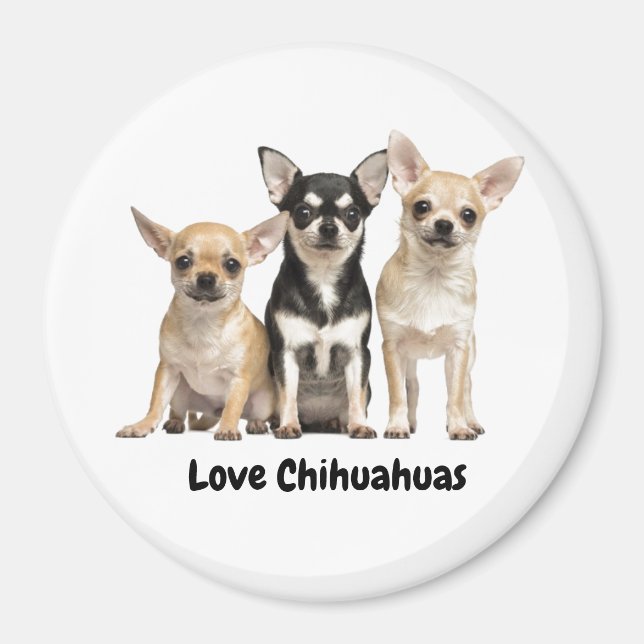 Íman Cute Chihuahua Puppies (Frente)