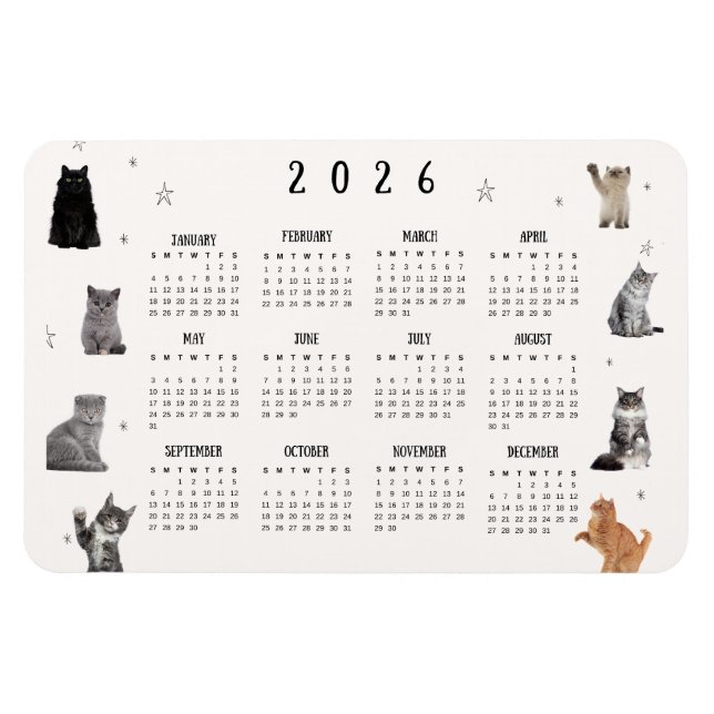 Íman Cute Funny Cat 2026 Calendar (Horizontal)