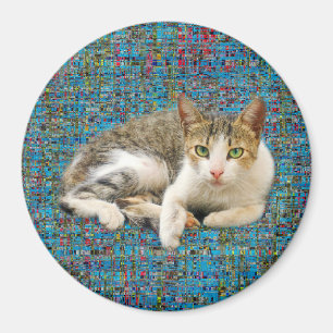 Íman Cute Kitty