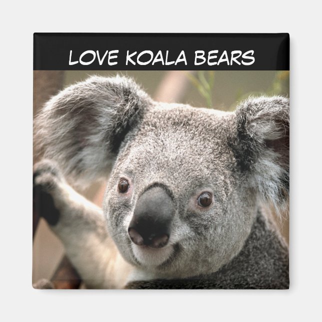 Íman Cute Koala Bear (Frente)