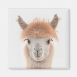 Íman Cute Llama Magnet (Alpaca) | Recolhível