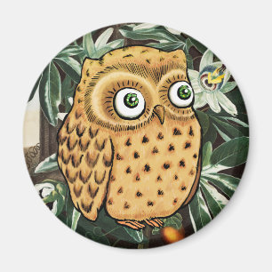 Íman Cute Owl